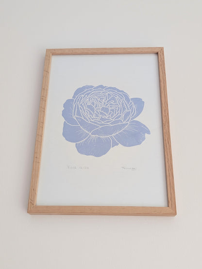 Rose │Limited edition│A4
