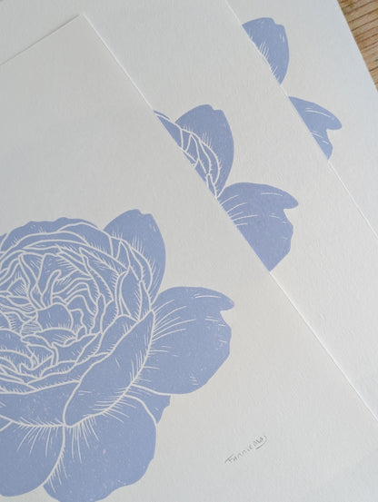 Rose │Limited edition│A4