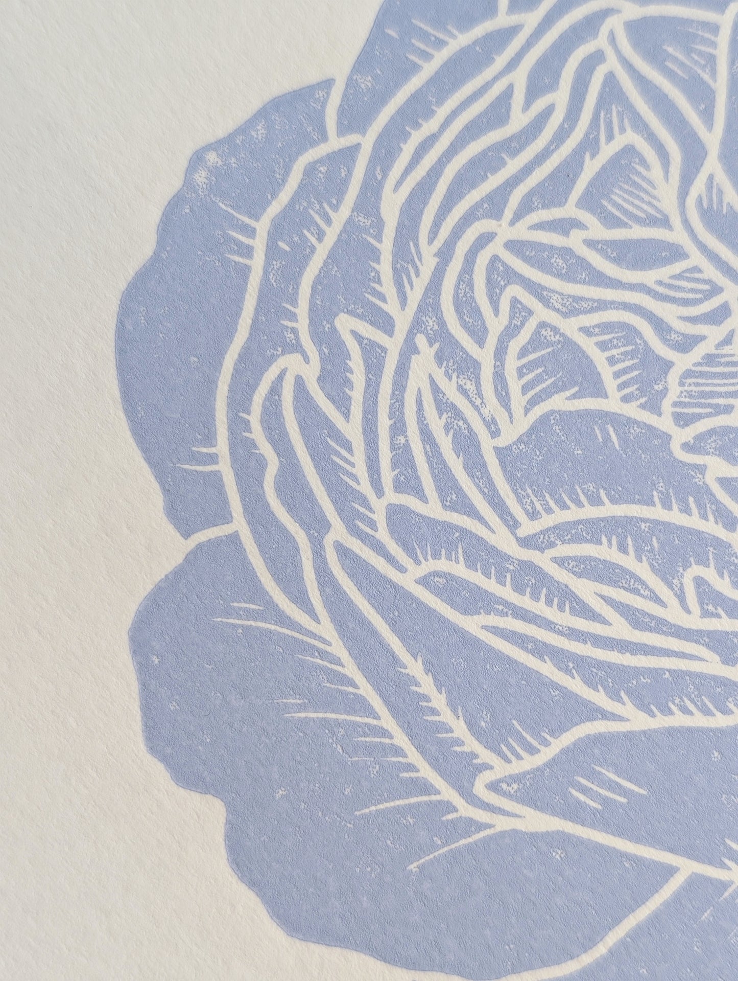 Rose │Limited edition│A4