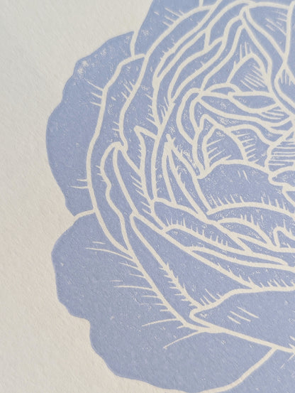 Rose │Limited edition│A4