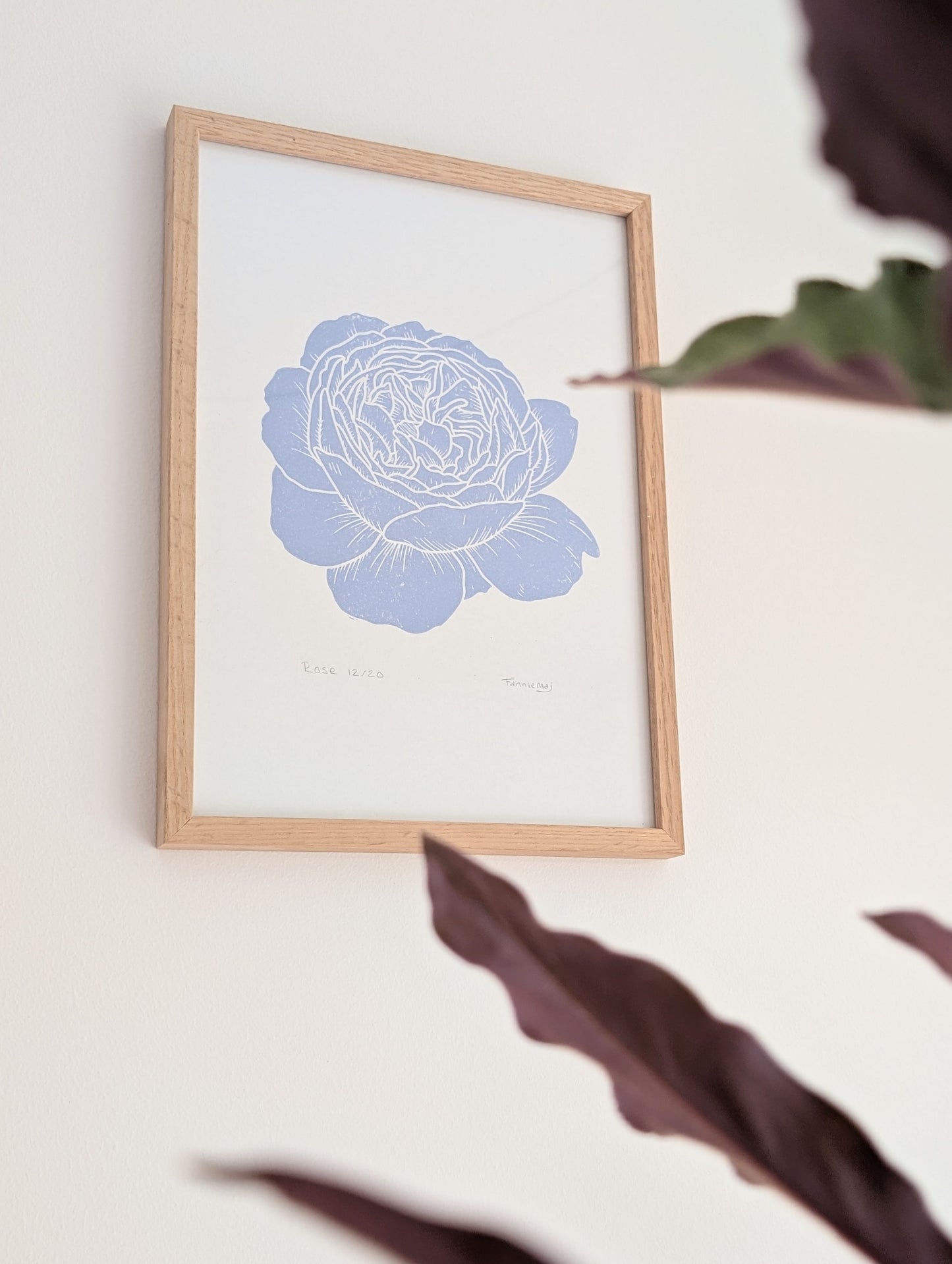 Rose │Limited edition│A4